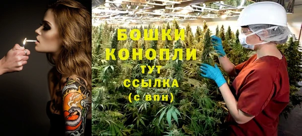 ECSTASY Белокуриха