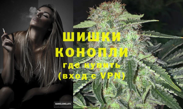 ECSTASY Белокуриха