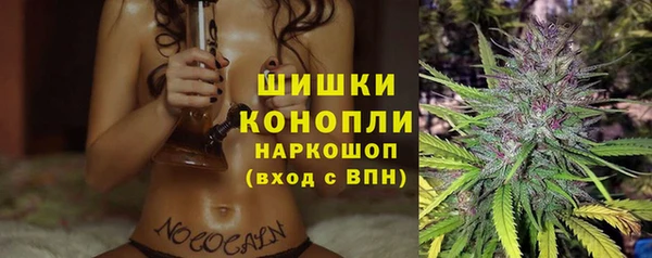 ECSTASY Белокуриха