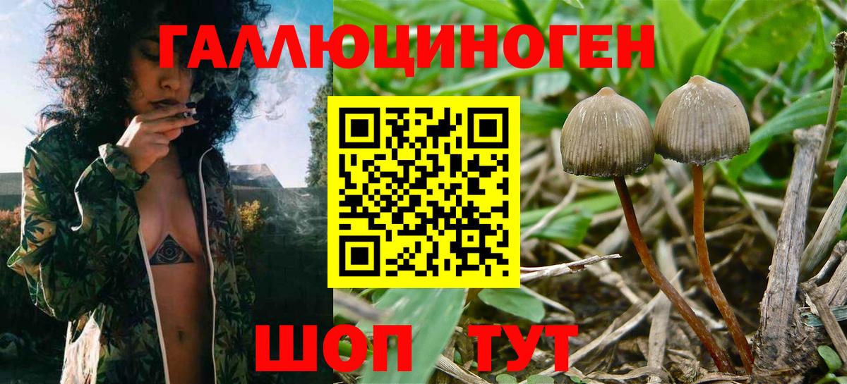 цены наркотик  Псилоцибиновые грибы Psilocybine cubensis  Псилоцибиновые грибы MAGIC MUSHROOMS  Вход с VPN  Печора 