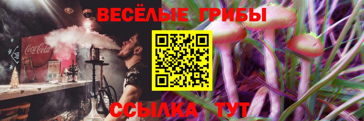 Псилоцибиновые грибы мицелий Печора
